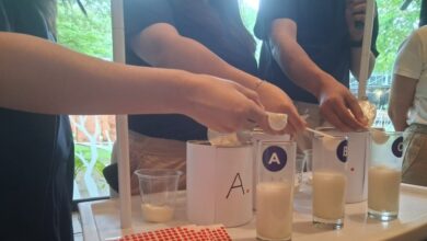 Susu Formula Tak Cukup Dipilih Karena Merek, 5 Hal Ini Lebih Menentukan Kualitasnya