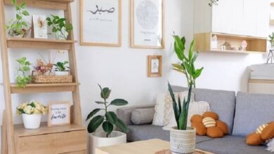 5 Tanaman Indoor yang Diam-Diam Redam Bau Tak Sedap, Rumah Terasa Lebih Segar