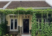 Rumah Tipe 36 Tetap Teduh Tanpa Kehilangan Ruang, 8 Ide Kanopi Sayur Rambat Ini Bisa Ditiru