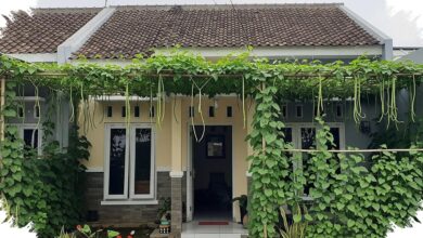 Rumah Tipe 36 Tetap Teduh Tanpa Kehilangan Ruang, 8 Ide Kanopi Sayur Rambat Ini Bisa Ditiru