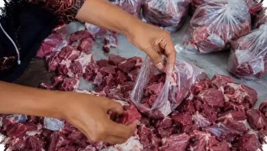 Simpan Daging Kurban Dengan Benar, Begini Cara Pakar Agar Tetap Aman Dan Empuk