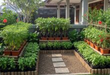 Halaman Depan Tetap Lega, 9 Ide Kebun Sayur Ini Bikin Rumah Lebih Sejuk dan Rapi