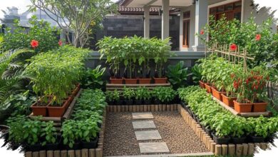 Halaman Depan Tetap Lega, 9 Ide Kebun Sayur Ini Bikin Rumah Lebih Sejuk dan Rapi