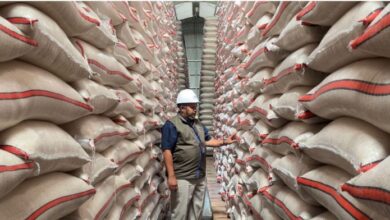 Jawa Barat Sumbang 16 Persen Serapan Bulog Nasional, Stok Beras Kian Menguat