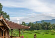 7 Rumah Desa Berjendela Jalusi, Adem Tanpa AC Tapi Tetap Terang dan Nyaman