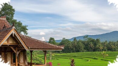 7 Rumah Desa Berjendela Jalusi, Adem Tanpa AC Tapi Tetap Terang dan Nyaman