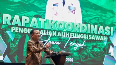 Jateng Kejar 970 Ribu Hektare Sawah Dilindungi, Kota-Kota Terancam Kehilangan Lahan Hijau