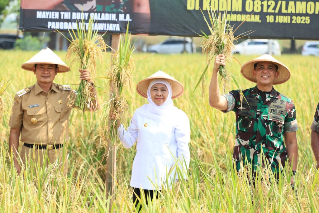 Jatim Tembus 7,71 Juta Ton GKG, Dominasi Padi Nasional Makin Sulit Dikejar