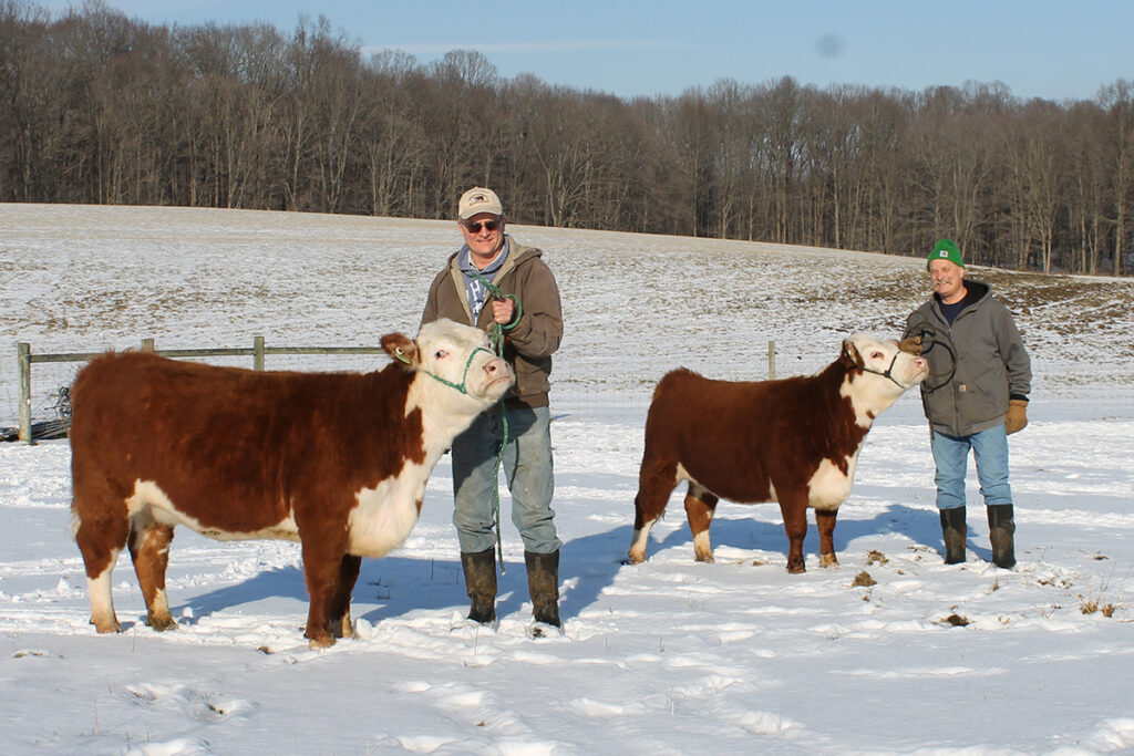 7 Ternak Mini Ini Ringan Dirawat, Cocok Untuk Pensiunan Yang Ingin Tetap Berpenghasilan