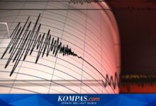 Gempa M 5,6 Guncang Teluk Tomini, Warga Gorontalo Mengaku Seperti Dilempar