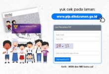 Cek PIP 2026 Kini Bisa Online, Status Bantuan Anak Tak Lagi Mudah Terlewat