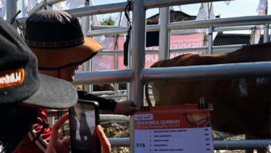 Tembus Rp 9 Miliar, Kurban Muhammadiyah Jateng Disulap Jadi Logistik Darurat untuk Daerah 3T