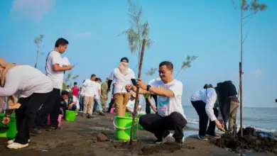 Dari Pantai Tirang, Ahmad Luthfi Gerakkan “Mageri Segoro” untuk Menahan Abrasi Jateng
