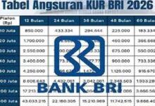 Saat Kebutuhan Dana Melampaui KUR, Tabel Pinjaman BRI 2026 Ini Jadi Pembanding Utama