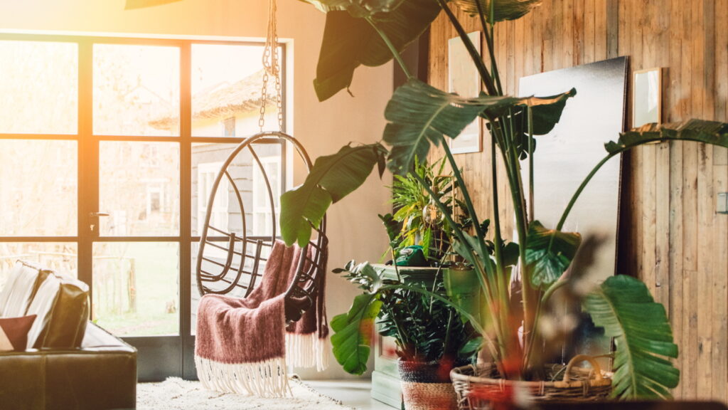 5 Kesalahan Saat Beli Tanaman Hias, Yang Diam-Diam Bikin Cepat Layu Di Rumah