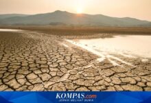 El Nino 2026 Mengintai Jabar, Pemprov Siapkan Kepgub Siaga Kekeringan