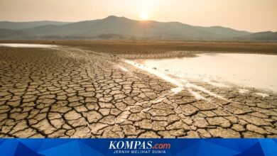El Nino 2026 Mengintai Jabar, Pemprov Siapkan Kepgub Siaga Kekeringan