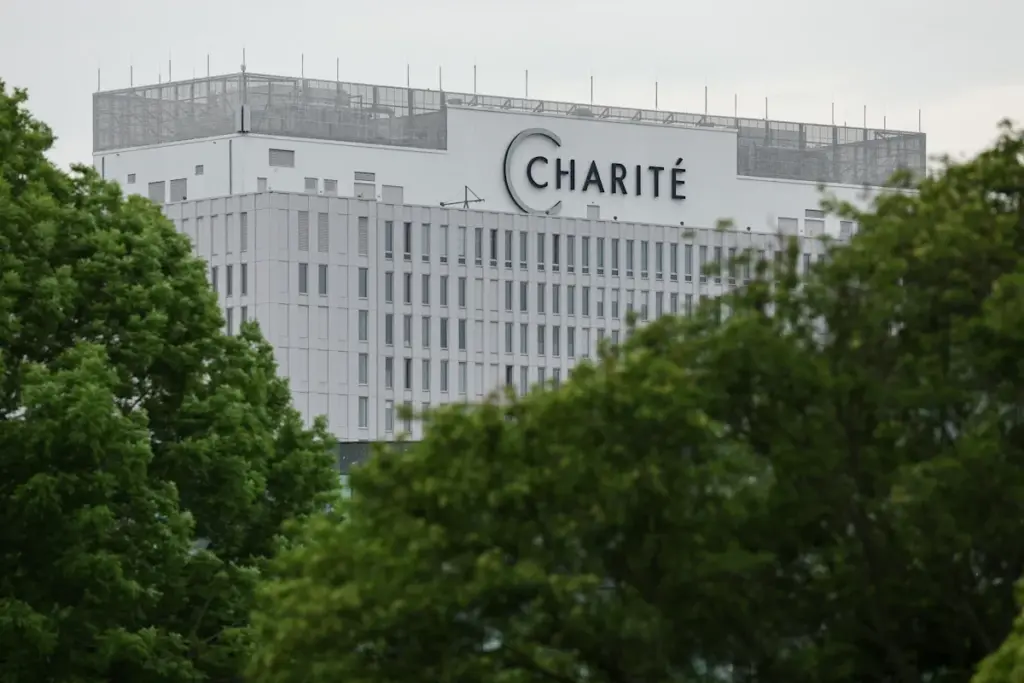 Dokter AS Sembuh Dari Ebola di Berlin, DRC Naik Jadi 488 Kasus dan WHO Waspada