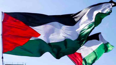 Di Tengah Genosida Gaza, Slovenia Kibarkan Bendera Palestina di Istana Presiden, Pesan Keras dari Pirc Musar