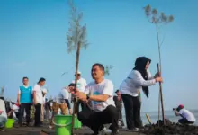 92.290 Bibit Ditanam Serentak di Pesisir Jateng, Benteng Alami Lawan Abrasi Diperkuat