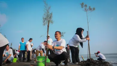 92.290 Bibit Ditanam Serentak di Pesisir Jateng, Benteng Alami Lawan Abrasi Diperkuat