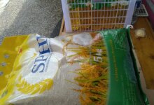 BULOG Tarik Beras Bantuan Bermasalah di Bangkalan, Warga Hampir Terima yang Tak Layak