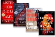 Boston Dan Massachusetts Jadi Panggung Rahasia Berbahaya, 5 Thriller Misteri Dengan Plot Cerdas