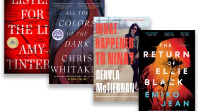 Boston Dan Massachusetts Jadi Panggung Rahasia Berbahaya, 5 Thriller Misteri Dengan Plot Cerdas