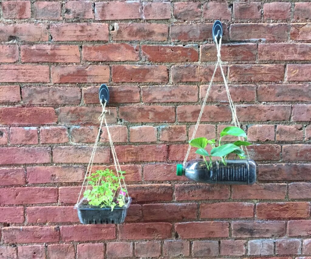 7 Kebun Gantung Dari Barang Bekas, Hemat Lahan Dan Lebih Aman Dari Tikus