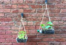 7 Kebun Gantung Dari Barang Bekas, Hemat Lahan Dan Lebih Aman Dari Tikus