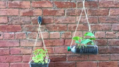 7 Kebun Gantung Dari Barang Bekas, Hemat Lahan Dan Lebih Aman Dari Tikus