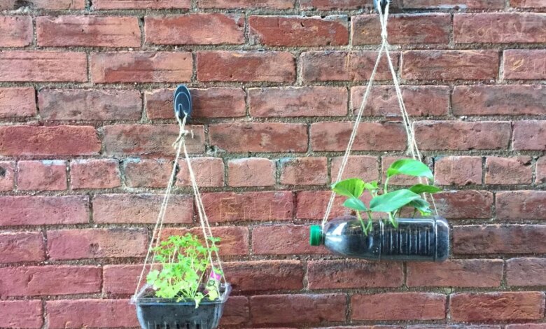7 Kebun Gantung Dari Barang Bekas, Hemat Lahan Dan Lebih Aman Dari Tikus
