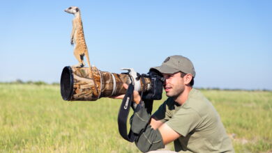 Prompt Gemini AI Ini Bikin Foto Biasa Terlihat Seperti Potret Fotografer Alam Liar Profesional