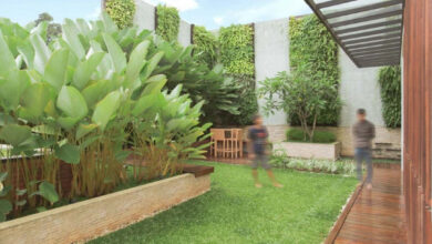 7 Tanaman Hias Minimalis yang Bikin Rumah Modern Terasa Hidup, Tanpa Repot Dirawat