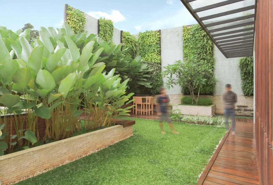 7 Tanaman Hias Minimalis yang Bikin Rumah Modern Terasa Hidup, Tanpa Repot Dirawat