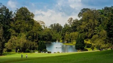 Kebun Raya Cibodas di Kaki Gede Pangrango, Tiket dan Paket Wisatanya Ternyata Paling Menentukan
