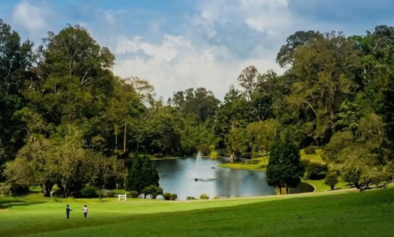 Kebun Raya Cibodas di Kaki Gede Pangrango, Tiket dan Paket Wisatanya Ternyata Paling Menentukan