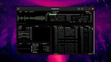 3 Alat Linux Tak Terduga Yang Memangkas Repotnya Terminal Sehari-Hari, Dari Arsip Hingga Update