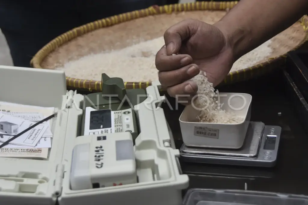 Beras Bantuan Tak Layak di Bangkalan, DPR Minta Audit Total Bulog
