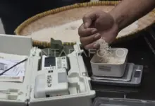 Beras Bantuan Tak Layak di Bangkalan, DPR Minta Audit Total Bulog