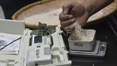 Beras Bantuan Tak Layak di Bangkalan, DPR Minta Audit Total Bulog