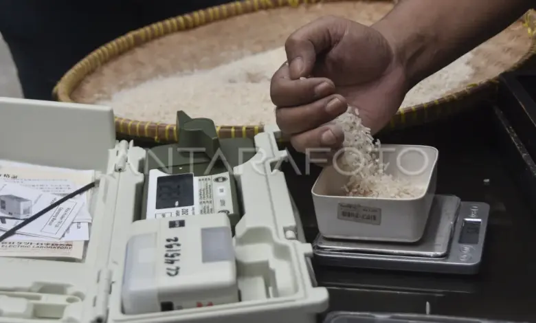 Beras Bantuan Tak Layak di Bangkalan, DPR Minta Audit Total Bulog