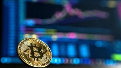 Adam Sosnick Samakan Dana Cadangan Bitcoin Dengan Modal SpaceX, Sinyal Mentalitas Risiko Elon Musk