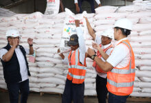 Pupuk Subsidi Jawa Tengah Aman Menjelang Tanam, Stok Tegal Cukup 3 Minggu