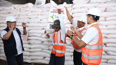 Pupuk Subsidi Jawa Tengah Aman Menjelang Tanam, Stok Tegal Cukup 3 Minggu
