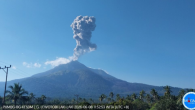 Bandara Frans Seda Masih Tertutup, Abu Lewotobi Menahan Langit Flores