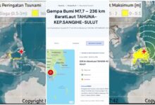 Gempa M7,7 Guncang Laut Filipina, BMKG Keluarkan Peringatan Tsunami ke 22 Wilayah