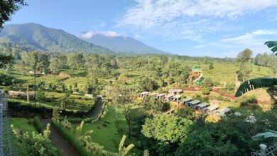 Bogor Punya 7 Pilihan Libur Panjang yang Lengkap, dari Edukasi Anak hingga Glamping Estetik