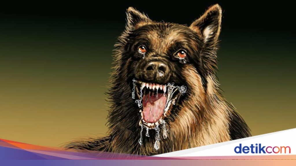 Jasinga Berduka, Polisi Telusuri Tewasnya Bocah 9 Tahun di Tengah Perburuan Babi