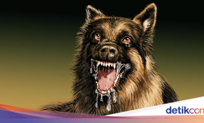 Jasinga Berduka, Polisi Telusuri Tewasnya Bocah 9 Tahun di Tengah Perburuan Babi